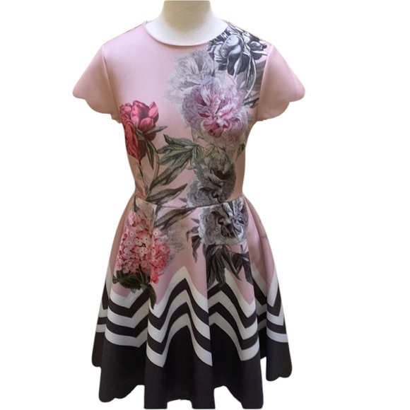 NWT Ted Baker Palace Gardens Skate Dress size 8 - Picture 2 of 13